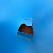 トガ