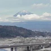 南