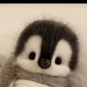 ❤︎E*❤︎の画像