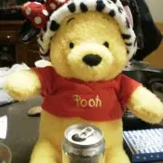 りくちゃんの画像