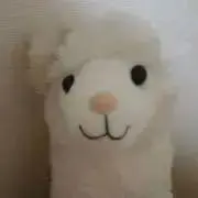 あるぱかの画像