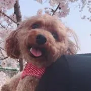 jun