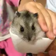 れみの画像