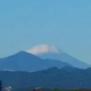 な