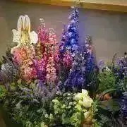 ラビット☆の画像