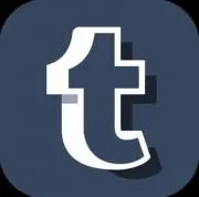 トモソーヤーの画像