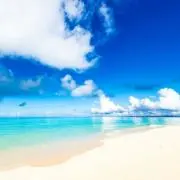 LOVE OCEANの画像
