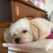 ちい
