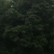 uuの画像