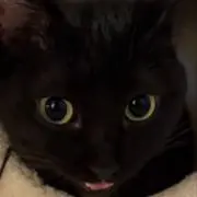 なつき