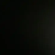 ニクソンの画像