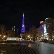 まりもの画像