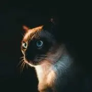 POST 0515の画像