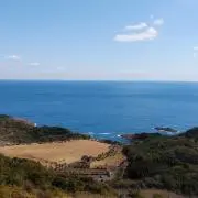 茂野吾郎