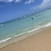 hiiiの画像