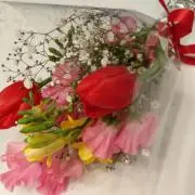 ハリーの画像