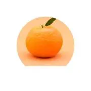 みかんの画像
