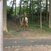 こめの画像