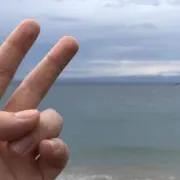 ninの画像