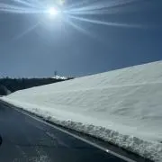たーの画像