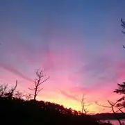 M【必ずプロフィールご覧下さい】の画像