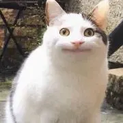 P@プロフ必読