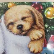 ◆ゆうチャミ◆の画像