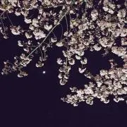 そら