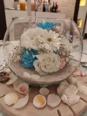 すいの画像