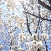 うーの画像