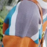 召垣の画像