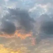 サタの画像