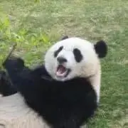 willの画像