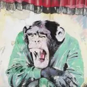 HIROSHI KITAZAWAの画像