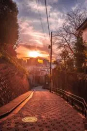 ごほの画像