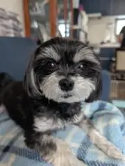 tomoの画像