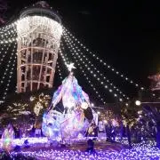 saaabo☺︎の画像