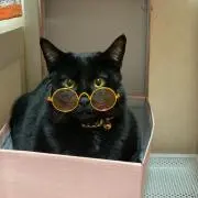 あーの画像