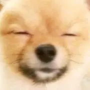 なつ