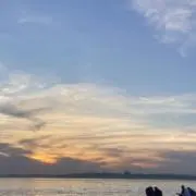 ふわの画像