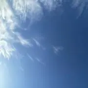 りょーちんの画像