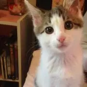 りょうたろう