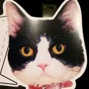 のりだーの画像