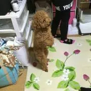 秀樹