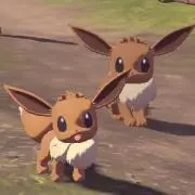 ぽんたの画像