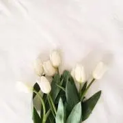 しのの画像