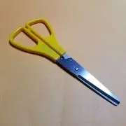 はさみの画像