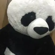 みー