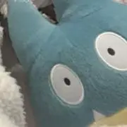 愛海の画像