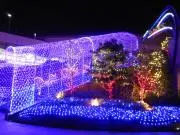 SPEED STARの画像